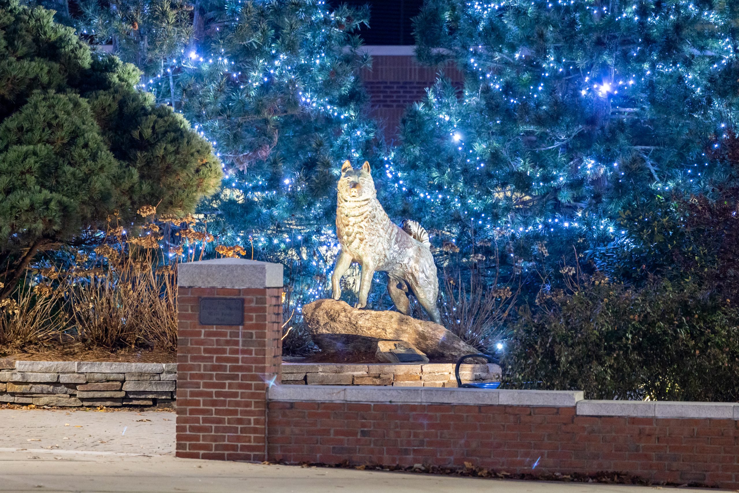 Jonathan Statue lit up at night