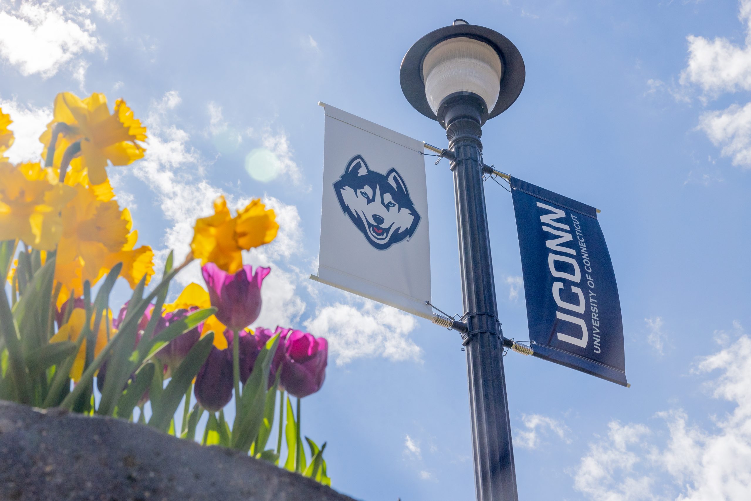 UConn Storrs Flags