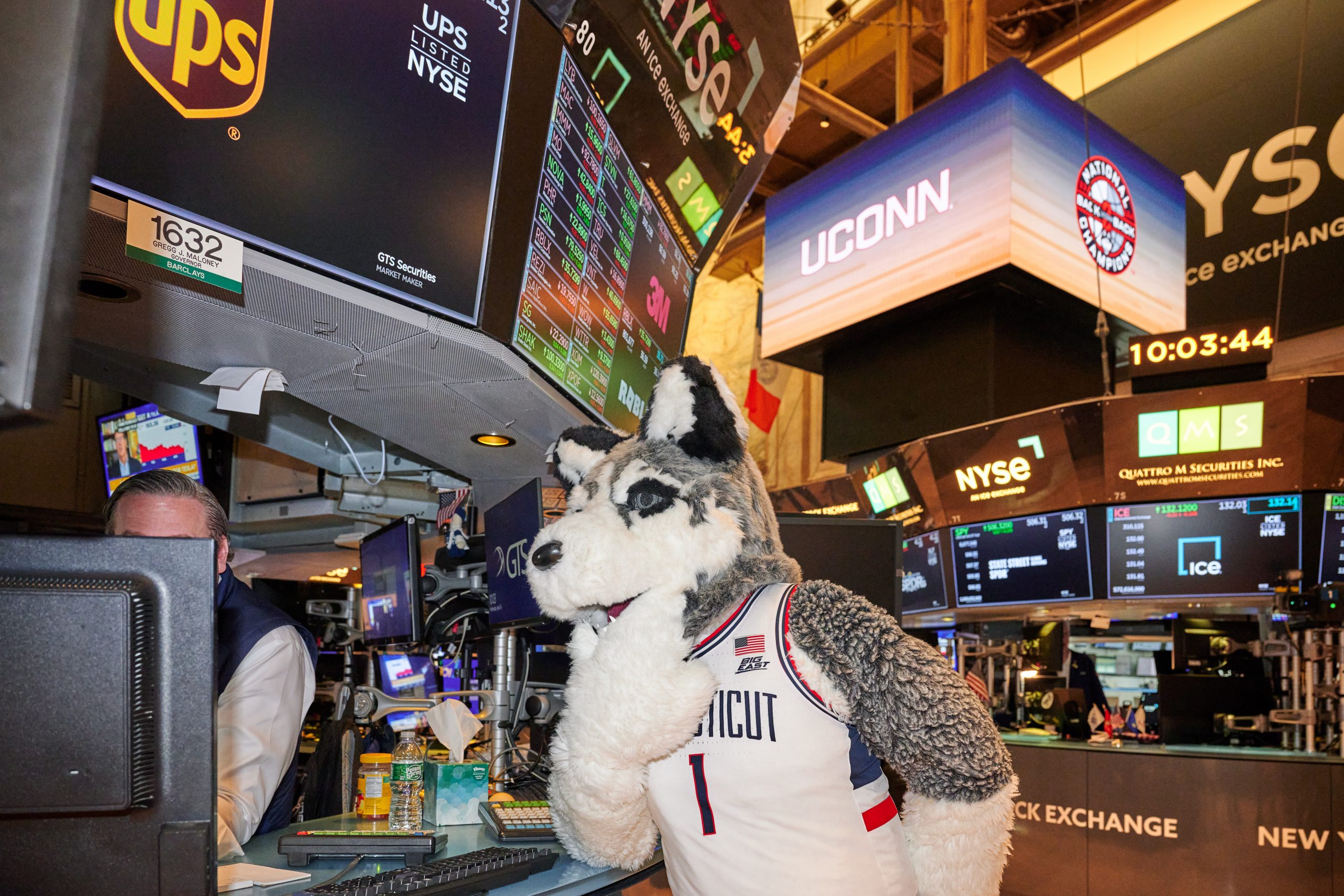 Jonathan the Husky helps with stock trading at the New York Stock Exchange on April 24, 2024. (Peter Morenus/UConn Photo)