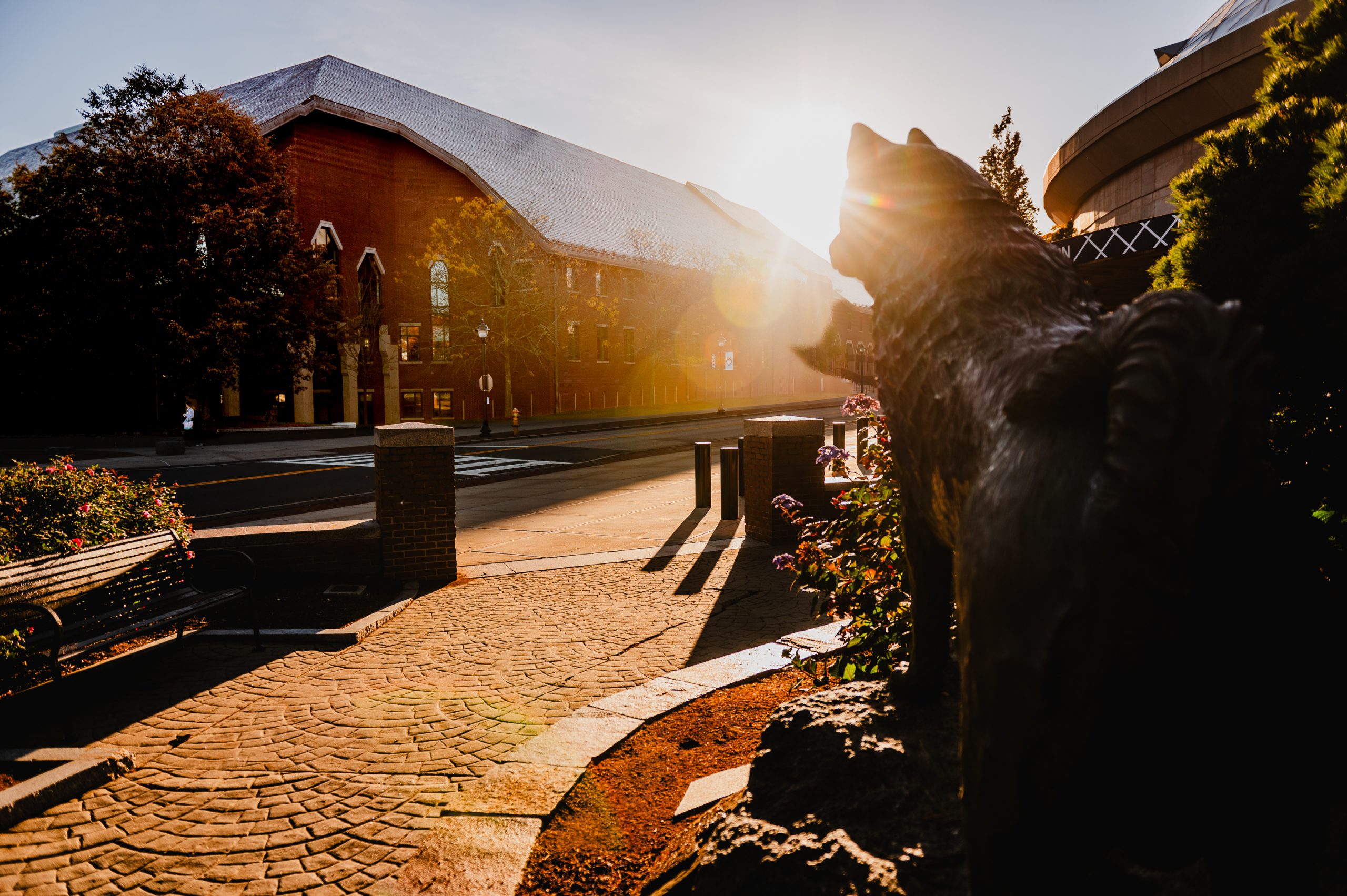 View of the School of Business from the Jonathan Statue